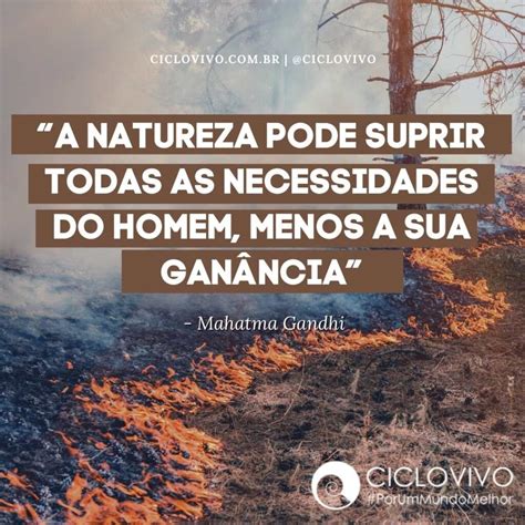 Argumentos Sobre Meio Ambiente