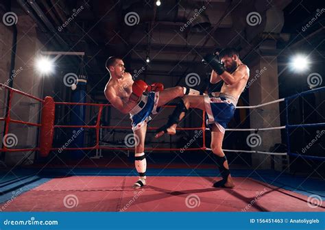 Boxers Training Kickboxing In The Ring At The Health Club Stock Image