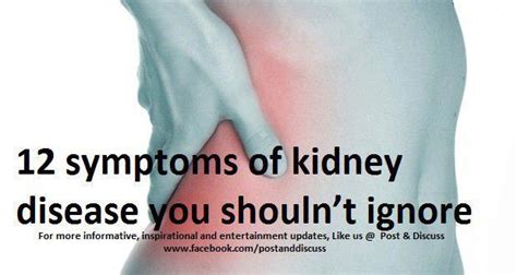 12 Symptoms Of Kidney Disease You Should Not Ignore Kamisulat