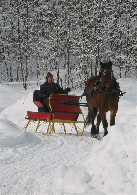 Tannery Brook Carriage Rides Hebron Nh Winter Scenes Dashing
