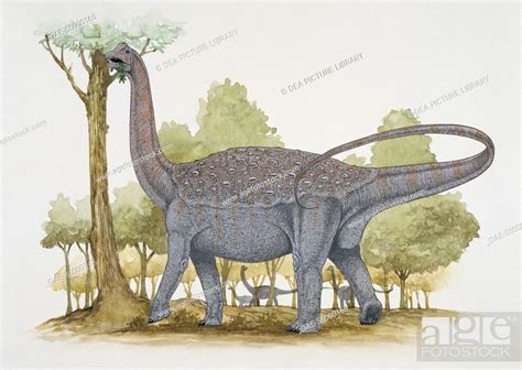 Palaeozoology Cretaceous Period Dinosaurs Titanosaurus Art Work