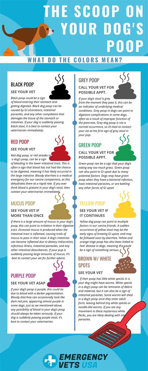 Color Of Your Poop Chart