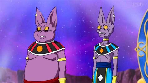 A year passes and everyone accepts whis's absence, yet unbeknownst to the others, beerus uses the super dragon balls to bring whis back as a mortal. Champa | DBZ Amino