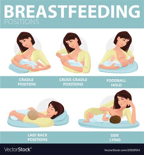 Breastfeeding Position Mother Feeds Bawith Breast Vector Image