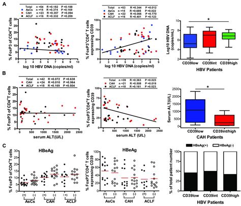 Expression Of Cd39 On Foxp3 T Regulatory Cells Correlates With