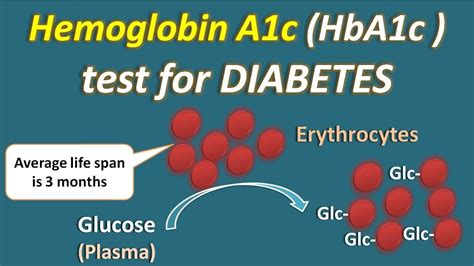 People with diabetes should have an a1c test every 3 months to make sure their blood sugar is in their target range. Hemoglobin A1c (HbA1c) test for diabetes - YouTube