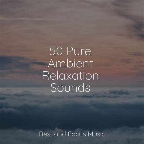 50 Pure Ambient Relaxation Sounds Musique Zen Garden 专辑 网易云音乐