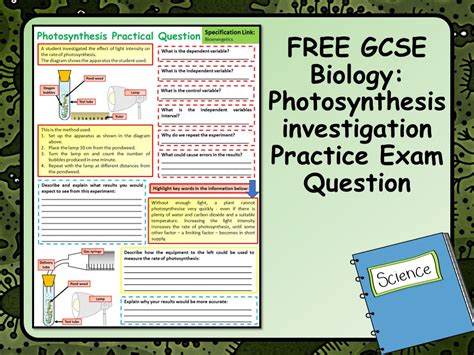 Free Gcse Biology Science Photosynthesis Investigation Practice Exam Question Teaching Resources