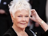 14+ Best Haircuts Like Judi Dench Examples To Copy