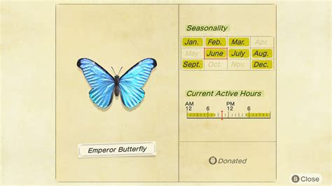 Animal Crossing New Horizons How To Catch An Emperor Butterfly