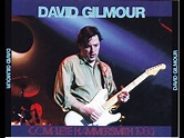 David Gilmour In Concert (Hammersmith Odeon, 30 April 1984) - YouTube