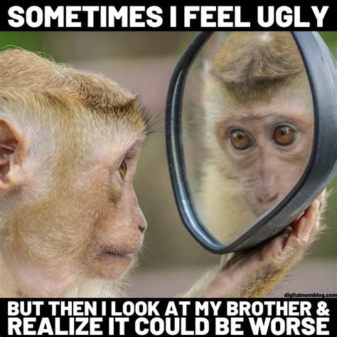 Funny Monkey Memes For Monkey Day 2020 Digital Mom Blog