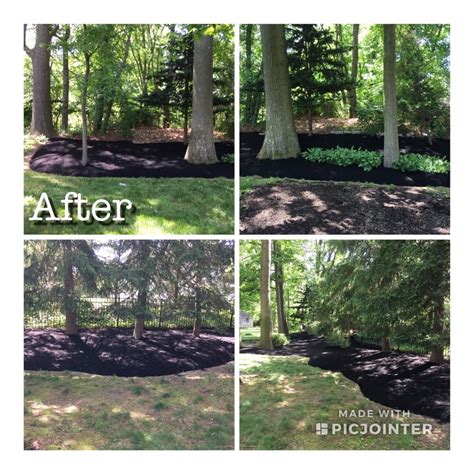 Gs Lawn Mulching Before And After Gs Lawn Svc And Landscaping Llc