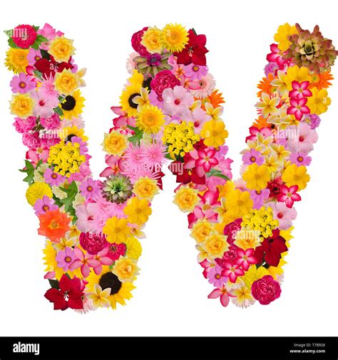 Letter W Alphabet With Flower Abc Concept Type As Logo Isolated On