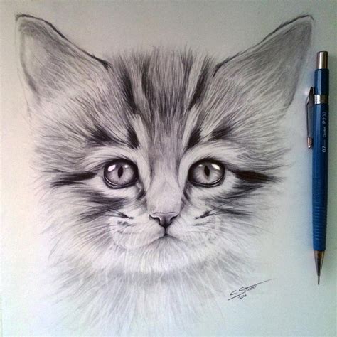 Realistic Pencil Drawings Cats Pencildrawing2019