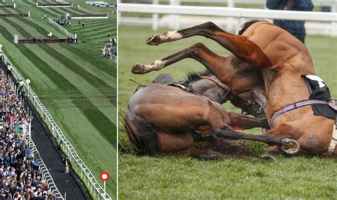 Grand National Festival Tragedy As Horse Dies After Falling In Horrific
