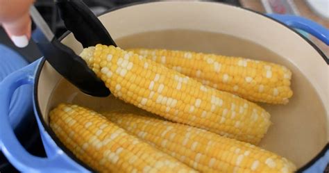 How Long To Boil Corn Perfect Results Every Single Time Hip2save