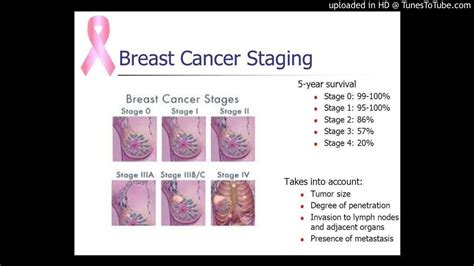 Breast Cancer Lymph Nodes Survival Rate 2023