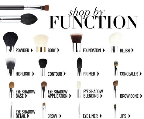 Makeup Brushes And Their Functions Eyeshadow Basics Makeup Brushes