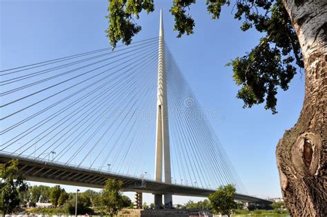 New Bridge In City Of Belgrade On Sava River Ada Bridge Stock Image