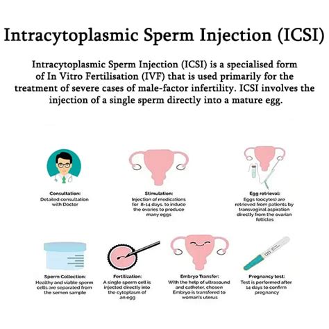 Overview Intracytoplasmic Sperm Injection Icsi Usha Ivf
