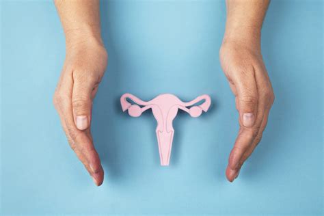 Cervical Health Understanding And Maintaining A Healthy Cervix
