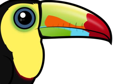 Toucan Clipart Cute Baby Toucan Png Download Large Size Png Image