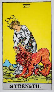 We did not find results for: Strength - A Tarot Card Reading with Essential Oils | suzannerbanks