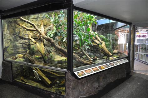 Terrarium For Iguana Reptile Tanks For Sale Reptile Tank Fish Tank