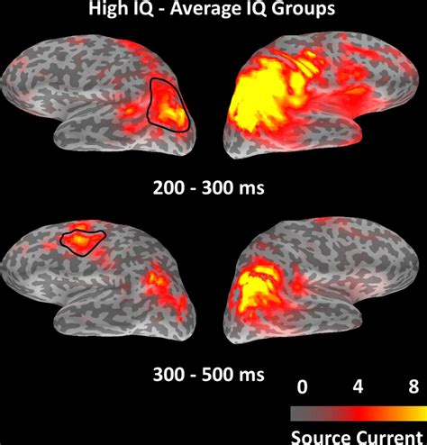 Frontiers Spatio Temporal Brain Dynamic Differences In Fluid Intelligence