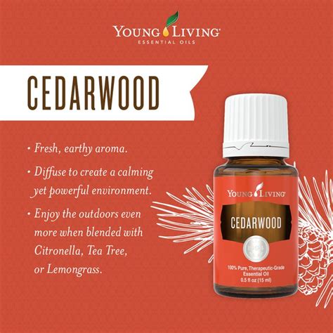 Cedarwood (cedrus atlantica) has a warm, balsamic, woody aroma. Cedarwood Essential Oil - Lavender The Spa