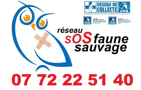 Le RÉseau Sos Faune Sauvage Lpo Nord