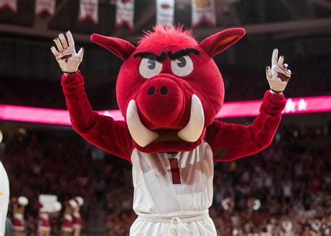 National Mascot Day Ranking The Sec Mascots From Worst To Best