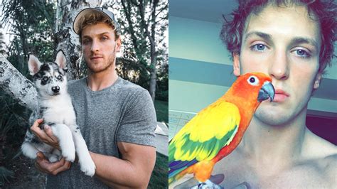 Flipboard Logan Pauls Bird Dog Other Pets Everything To Know About