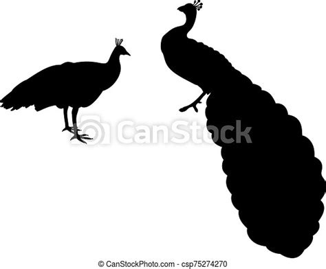 Silhouette Of Two Peacock Silhouettes Of Animals Birds Vector
