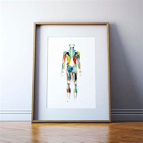 Muscular System Watercolor Print In Red Green Blue Body System