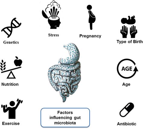 Factors Influencing Gut Microbiota Download Scientific Diagram