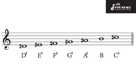 A Guide To D Sharp Minor Chords Unlock Your Guitar Skills