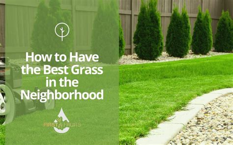How To Have The Best Grass In The Neighborhood