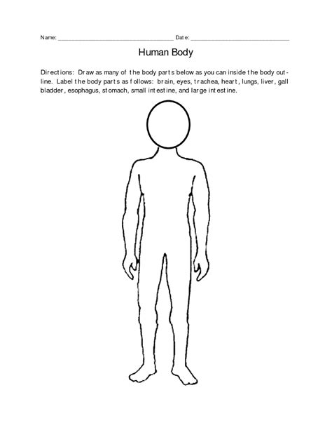 Best Blank Body Map Template Human Body Parts List Free Human Body Human Body Organs Body