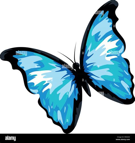Beautiful Butterfly Cartoon Stock Vector Image And Art Alamy