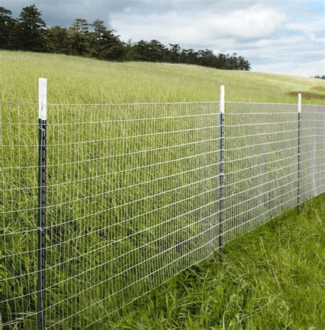 Cheap Easy Dog Fence With 3 Popular Dog Fence Options Roy Home Design
