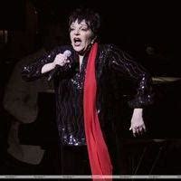 Liza Minnelli Hot Wallpapers Pictures And Photos All Celebrities My