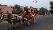 A Two Horse Chariot meant for Marriages driving down the road - YouTube