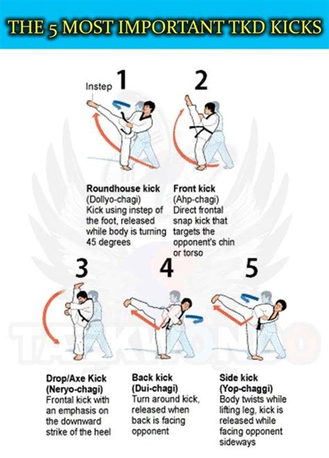 Taekwondo Techniques For Beginners