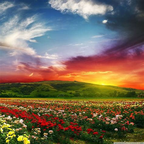 32 Hd Colorful Nature Wallpapers 1080p Basty Wallpaper
