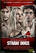 Alexander Skarsgard & Kate Bosworth: 'Straw Dogs' Poster!: Photo ...