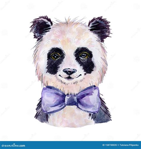 Panda Watercolor Illustration Stock Illustration Illustration Of