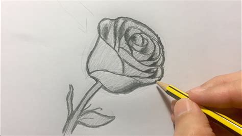 Cómo dibujar una rosa paso a paso YouTube