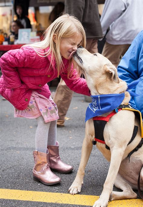 Get the latest on adoption processes, learn how local shelters and rescue groups are adapting and find out what you can do to help dogs and cats in need right now. 8 Places to Adopt a Dog In Washington | Dog adoption ...